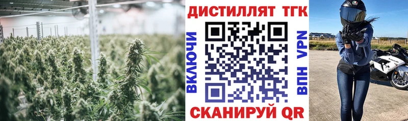 Дистиллят ТГК THC oil  где купить наркоту  Бийск 