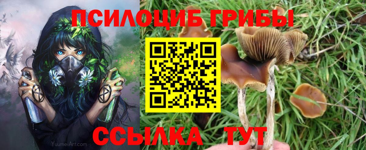 Псилоцибиновые грибы GOLDEN TEACHER Бийск