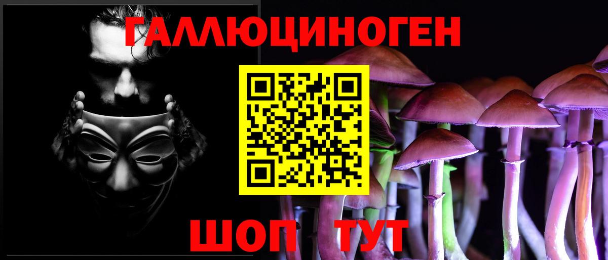 Псилоцибиновые грибы Cubensis  Псилоцибиновые грибы Cubensis  Бийск 